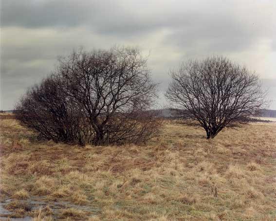 BeiKotzenroth2