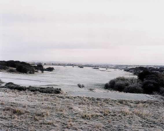 Eisbrecherweb