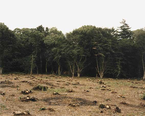 GBFORKingsWood