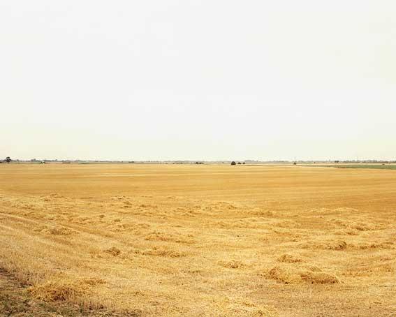 GBMARFens
