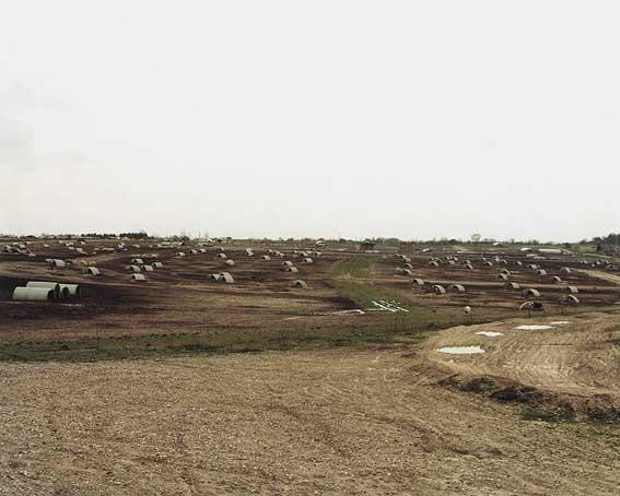 GBPIGBlythburgh2
