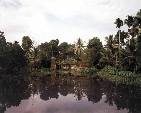 INDFarm
