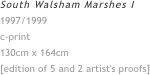 South Walsham Marshes I