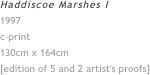 Haddiscoe Marshes I