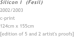 Silicon I  (Fesil)