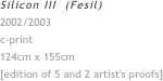 Silicon III  (Fesil)