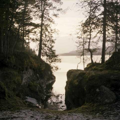 MannAasen08